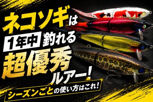 ファットラボ　ネコソギdsr ネコソギxxx ネコソギDSR 2020年発売の新型ネコソギDSRとネコソギXXXはどこが変わったのか？旧